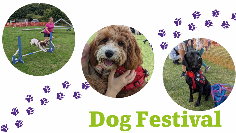 Dog Fest Facebook header