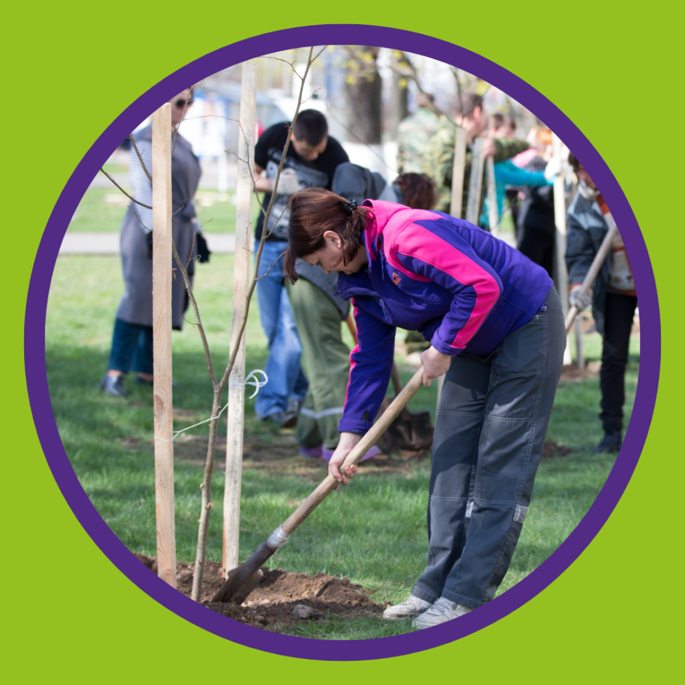 Orchard website