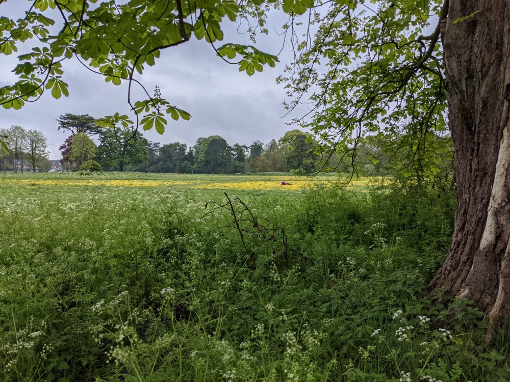 PXL 20210515 090429760