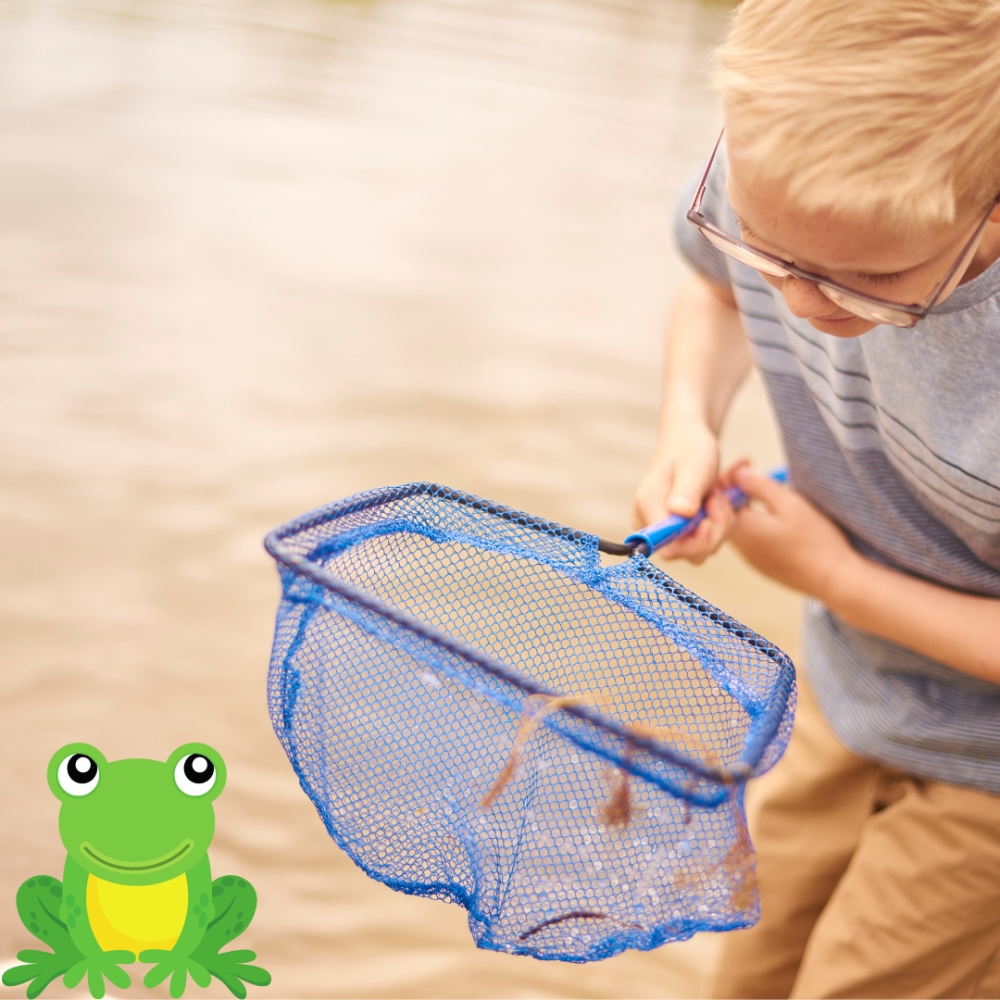 Pond Dipping Square