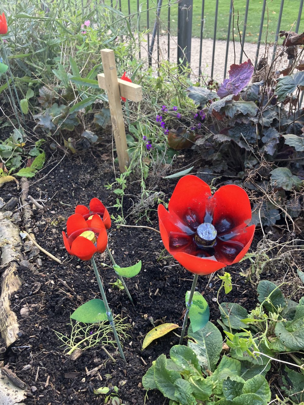 Poppies