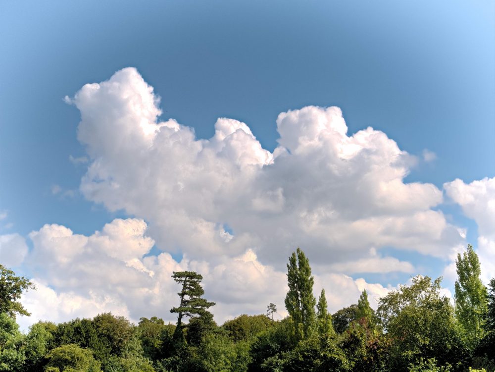 Sunlit Clouds By Helen Pocock