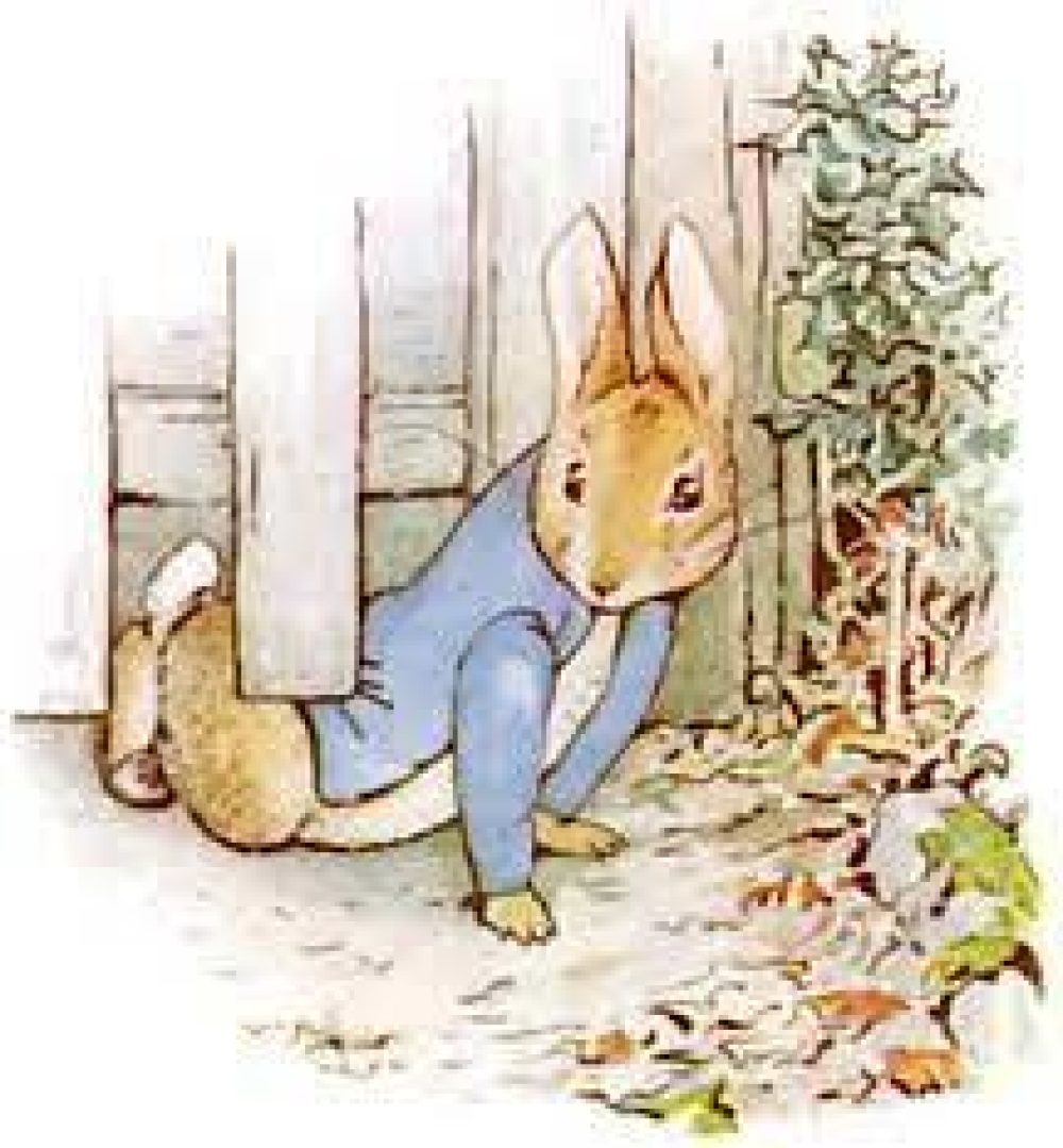 Peter rabbit website
