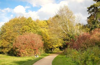 Autumn colours by Helen Pocock