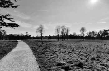 Emma Slough Across the park