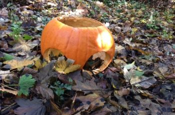 Halloween Pumpkin Cindy Lea