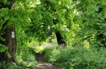 May 2024 Newsletter