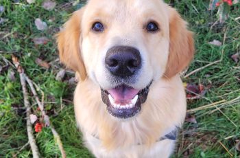 Martine C Crouching cutie Cooper