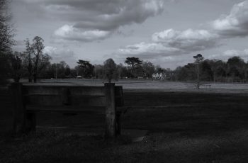 Sit and reflect taken near west woodland play feature by Maria Wheatley