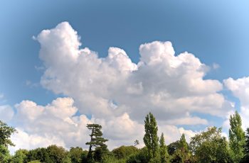 Sunlit Clouds By Helen Pocock