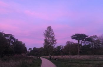 The Long And Winding Road By Debie Hamill