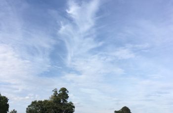 Trina Cooke The Sky At Houghton Hall Park