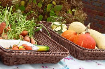 Vegetable Garden by Rita Egan