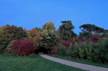 Vibrant Dusk Brooksy Mc Culloch